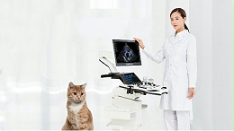 飞依诺兽用彩超诊断仪|猫先天性肥厚性心肌病案例分享