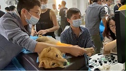 飞依诺兽用彩超诊断仪|兽用心脏超声基础班在广州圆满举办