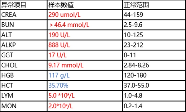 血液检查