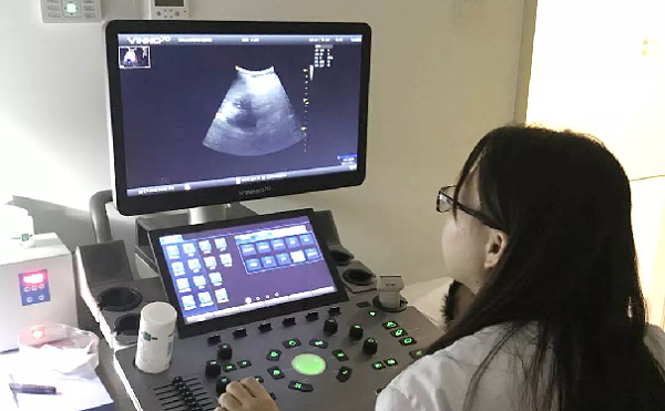 苏州大学附属儿童医院医生在为幼儿进行超声检查